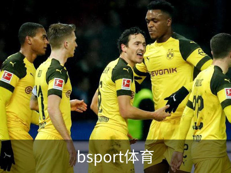 bsport体育品牌故事